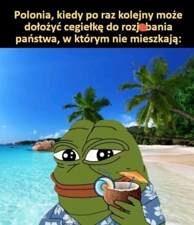 Najlepsze memy po wyborach prezydenckich 2025