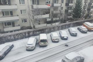 Śnieżyca w Toruniu. Biały krajobraz za oknami