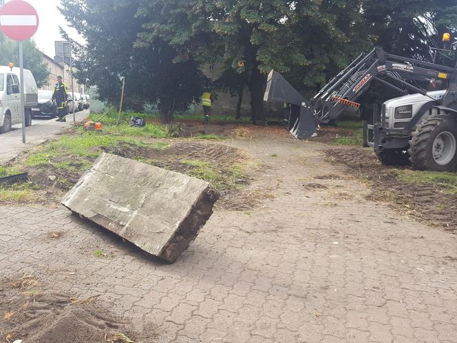 Bukszpany zrobiły miejsce na nowy pomnik w Lesznie. Poświęcony będzie żołnierzom generała Józefa Hallera