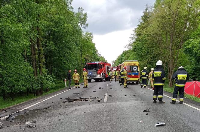 Śmiertelny wypadek na DK 11! Zderzenie dwóch pojazdów w Murzynówku