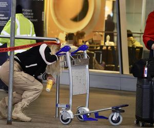 Karolina Pajączkowska i Monika Jarosińska wróciły z dżungli