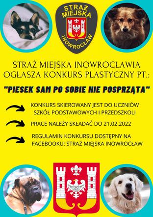 Piesek sam po sobie nie posprząta