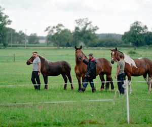 Rolnik szuka żony: Wielki kryzys tuż przed finałem! Ślubu nie będzie?