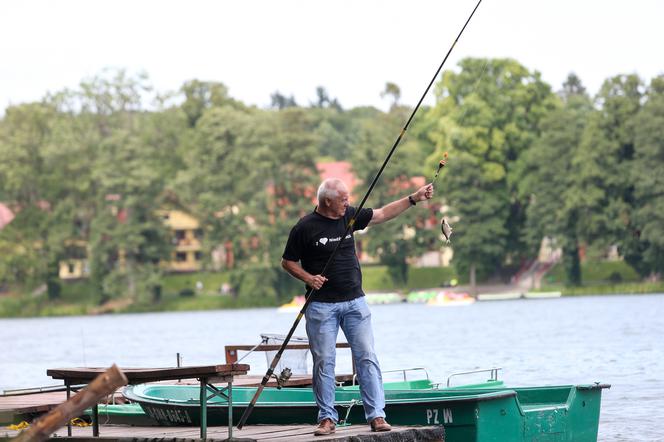 Stefan się wyciszył