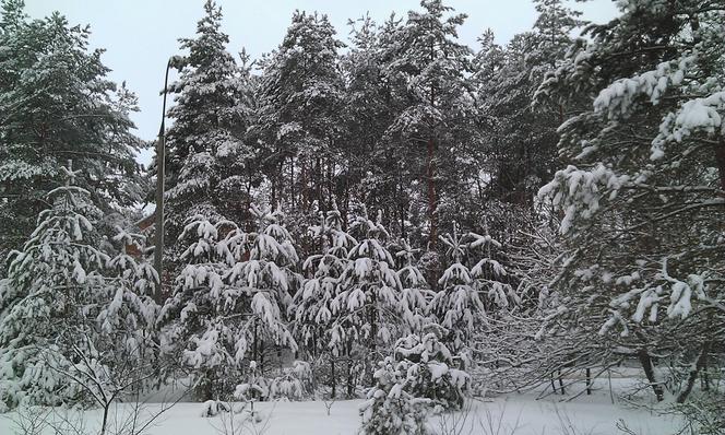 Nagły atak zimy w Wielkanoc. Spadło nawet 40 cm śniegu