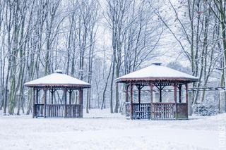 Zima zaatakuje śnieżycami i dwucyfrowym mrozem. Konkretne daty