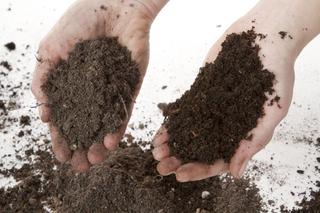 Przesadzanie roślin doniczkowych