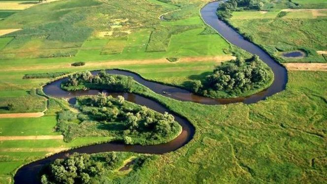 Rzeka Narew na Podlasiu