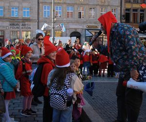 Wrocławski Festiwal Krasnoludków 2024