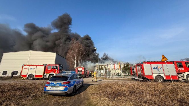 Ogromny pożar pod Zieloną Górą! Płonie hala firmy DBW. Jest pilny apel do mieszkańców