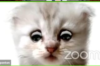  Nie jestem kotem. Sędzia zamienił się w kota