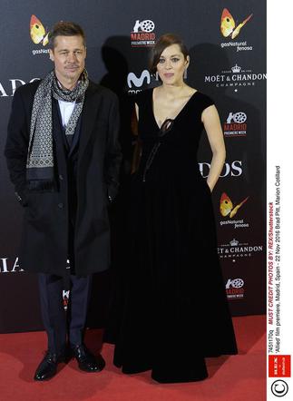 Sprzymierzeni: Brad Pitt i Marion Cotillard na premierze