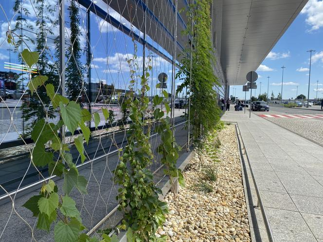 Zazieleniony teren parkingu i pasażu przed terminalami Katowice Airport