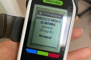 3 kg pies z kilogramowym guzem