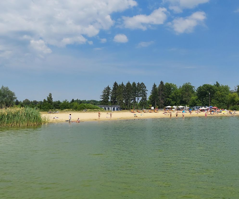 Zamość