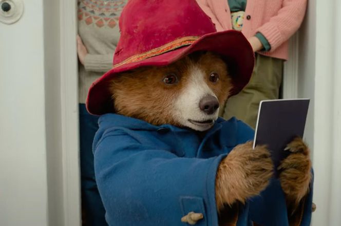 Miś Paddington