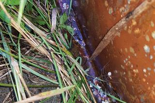 Ponad 100 beczek z chemikaliami na Muchoborze. „To substancje, które służyły do produkcji w drukarni”