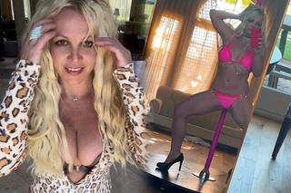 Britney Spears tańczy na rurze w różu! Kusi fanów po rozstaniu z mężem