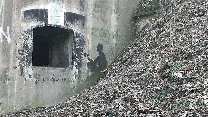 Fort Prokocim
