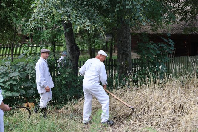 Tak wyglądało kiedyś żniwowanie na polskiej wsi