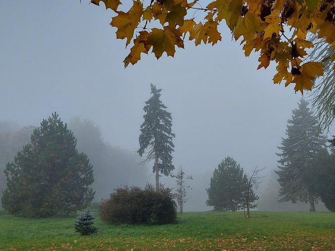 Zamojski Park jesienią