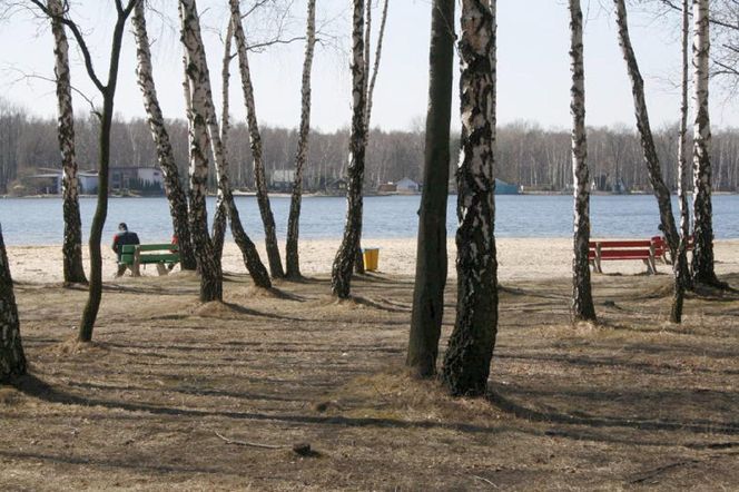 Jezioro Pogoria I - Dąbrowa Górnicza