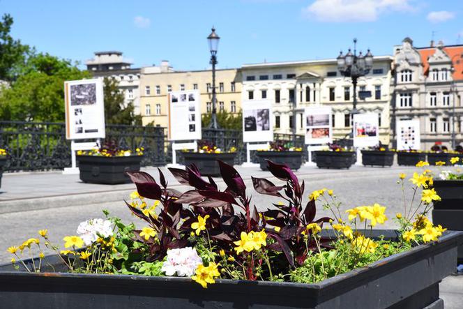 Centrum Bydgoszczy będzie bardziej kolorowe