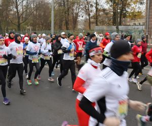 Bieg Niepodległości RUNPOLAND w Poznaniu