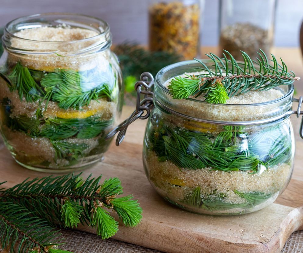 Do celów leczniczych wykorzystuje się przede wszystkim młode pędy i igły świerku.
