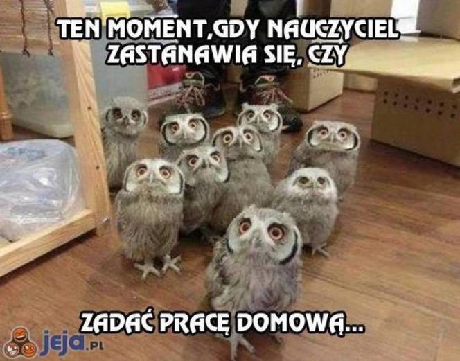 Memy o szkole