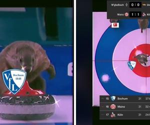To hit Internetu! Polskie przekleństwa i bobry grające w curling na oficjanym profilu klubu Bundesligi [FILM]
