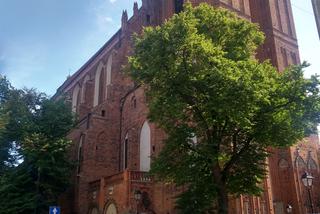 Katedra św. Janów w Toruniu
