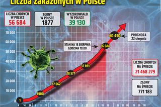 Koronawirus w Polsce. Wykresy i mapy: 16.08.2020