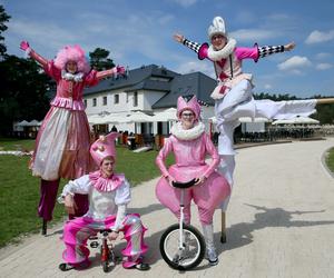 Julinek Park przenosi do świata starożytnej Grecji. Weekend 1-2.07.2023 z olimpijskimi bogami!