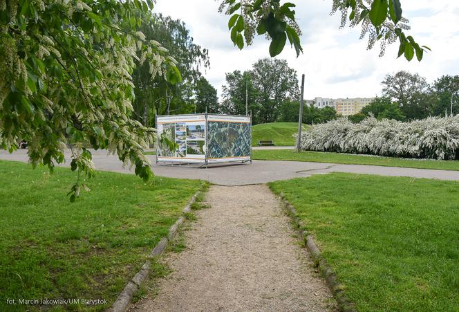 Plac przed operą zmieni swoje oblicze. Są już pierwsze wizualizacje [ZDJĘCIA]