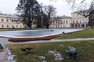 Te miasta tworzą „trójkąt turystyczny” w woj. lubelskim