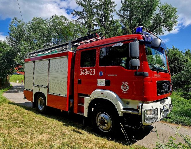 Druhowie z Iwonicza uratowali sarenkę. 