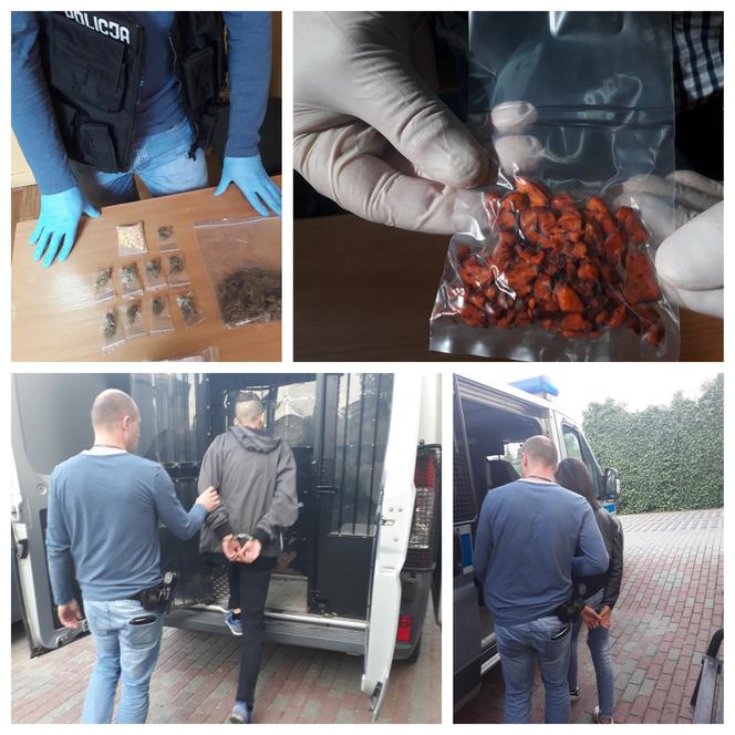 Marihuana, tabletki ekstazy oraz grzyby psylocybinowe nie trafią do klientów