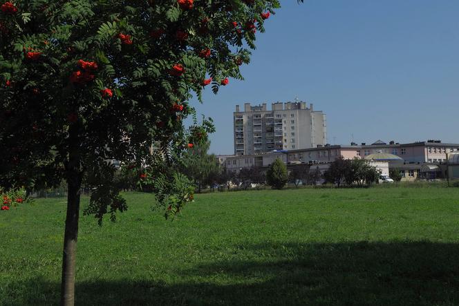 To miejsce za pół roku będzie wyglądało inaczej. Miasto przygotowuje Park Centralny na Felinie