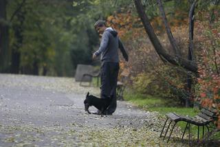 Janusz Palikot