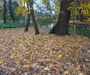 Park Sołacki w Poznaniu jesienią