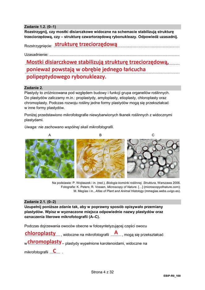 Matura 2025: biologia 9.05.2025. Arkusze CKE i odpowiedzi [Formuła 2015]