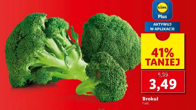 Lidl ostatni dzień promocji