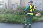 Trawniki w Lesznie wybujały. Koszą prawie codziennie [ZDJĘCIA]