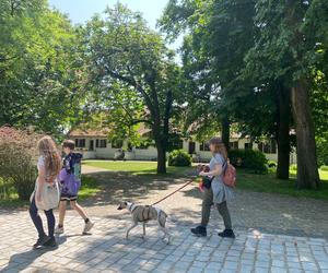 Pałac w Rogalinie zachwyca turystów. Znajduje się 20 kilometrów od Poznania 