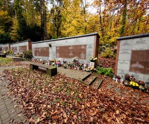 Grób synów Lecha Wałęsy, Przemysława i Sławomira