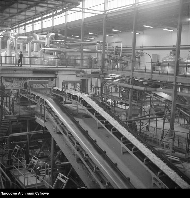 Wnętrze hali fabrycznej w Łapach, 1973 r.