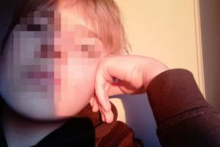 Koszmar na drodze śmierci pod Bydgoszczą. Nie żyje czteroosobowa rodzina, która wracała z wakcji w górach.