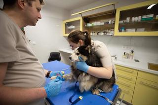 Fabian był stworzony do zarabiania pieniędzy