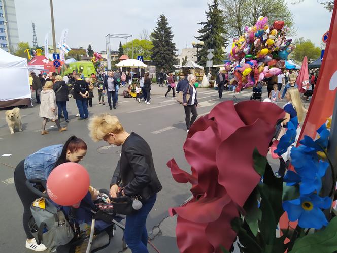 13. Jarmark św. Stanisława w Siedlcach - fotorelacja